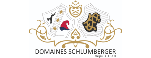 Domaines Schlumberger